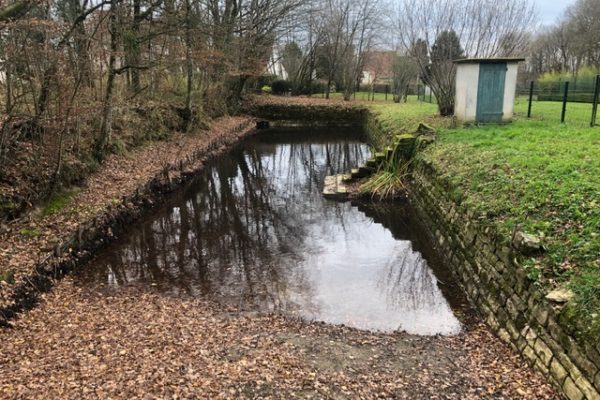 restauration-bassin-pierre